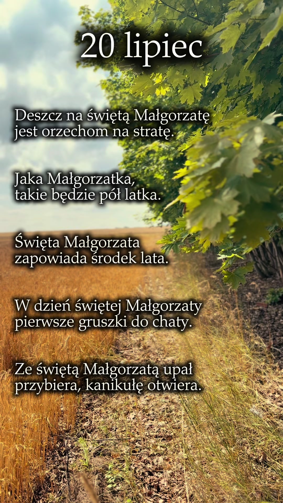 @Milena