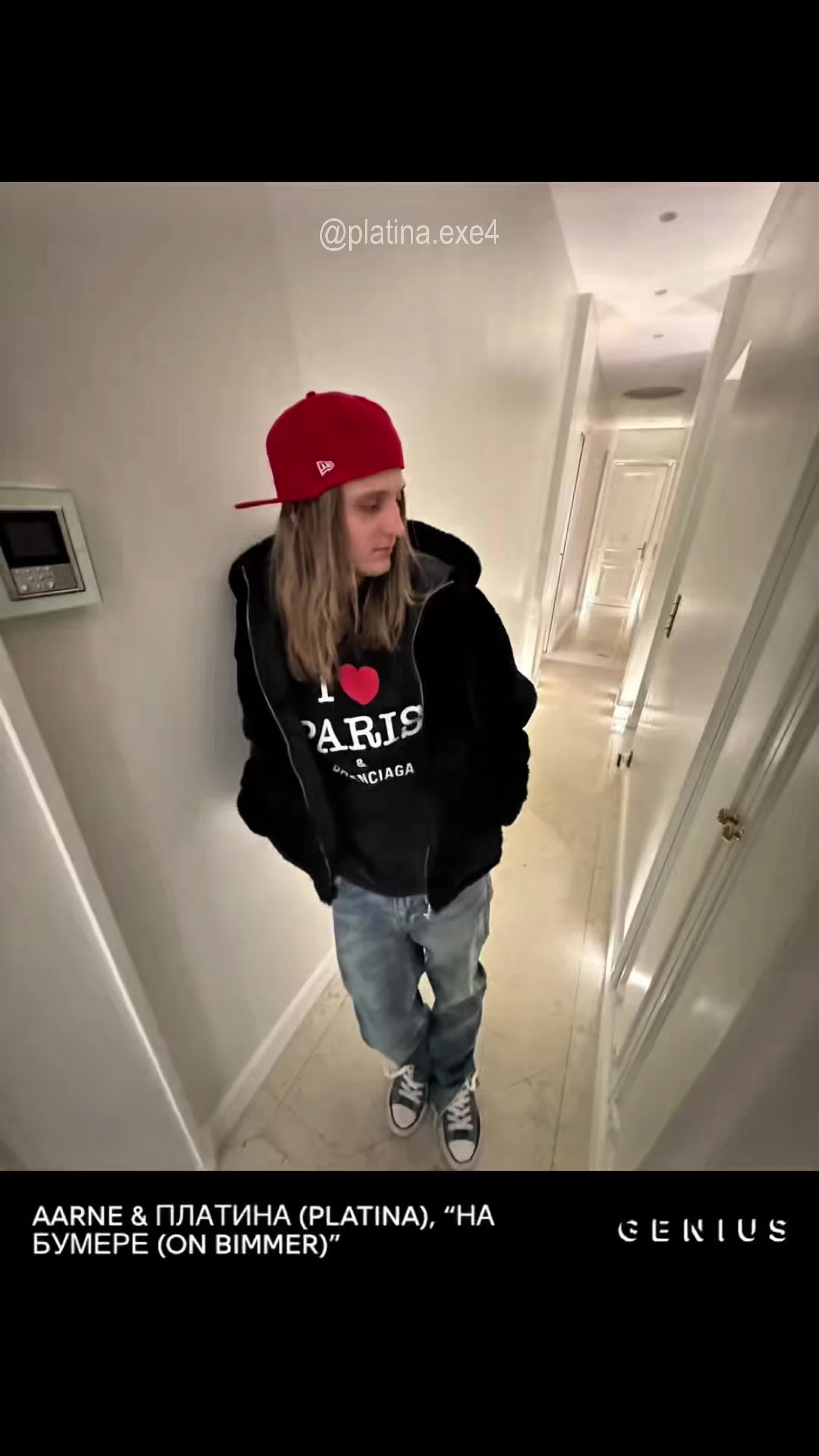 @platina.exe