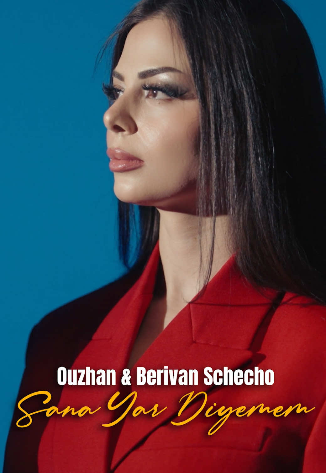 @Berivan Schecho