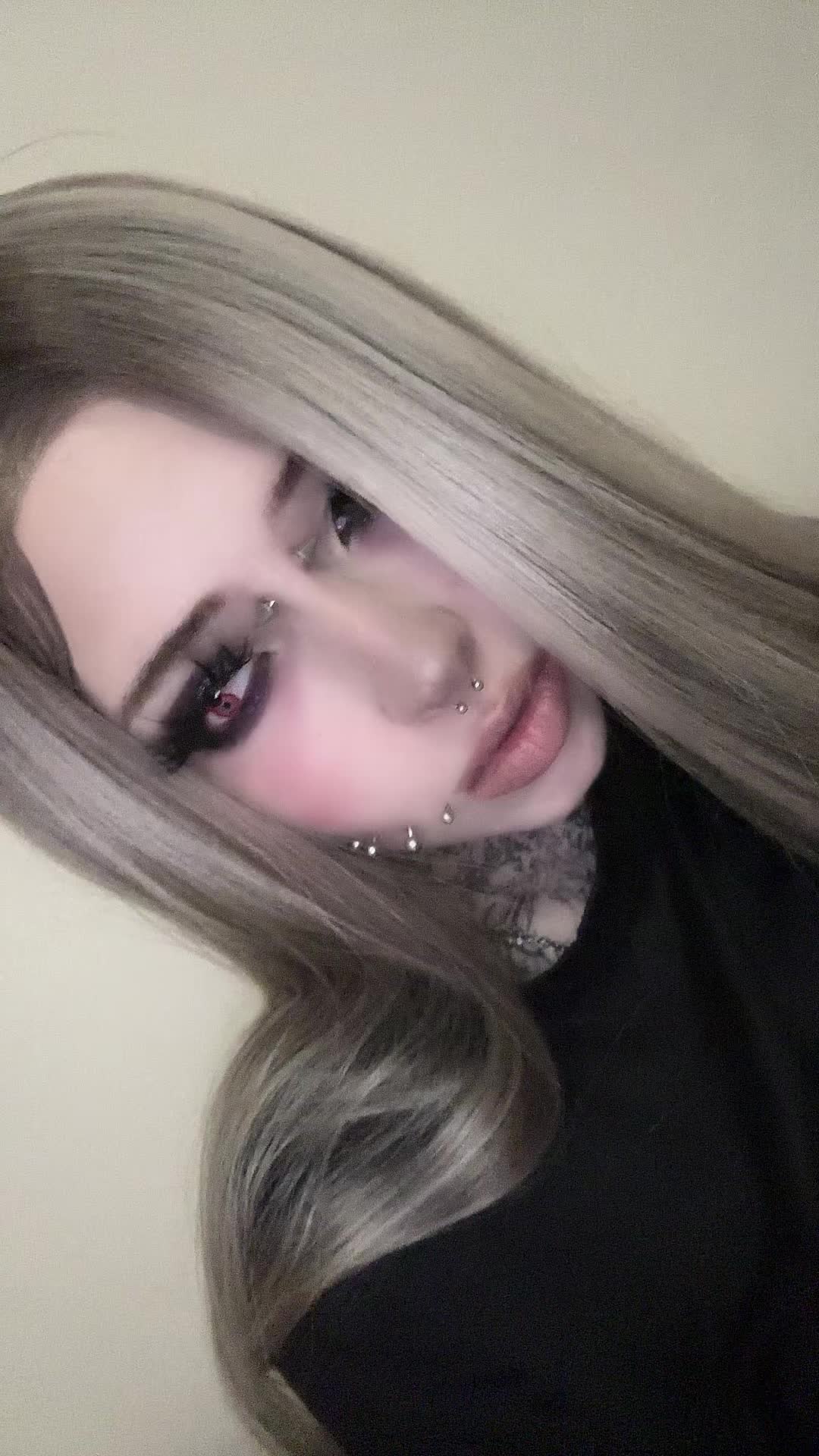 @dark dynasty