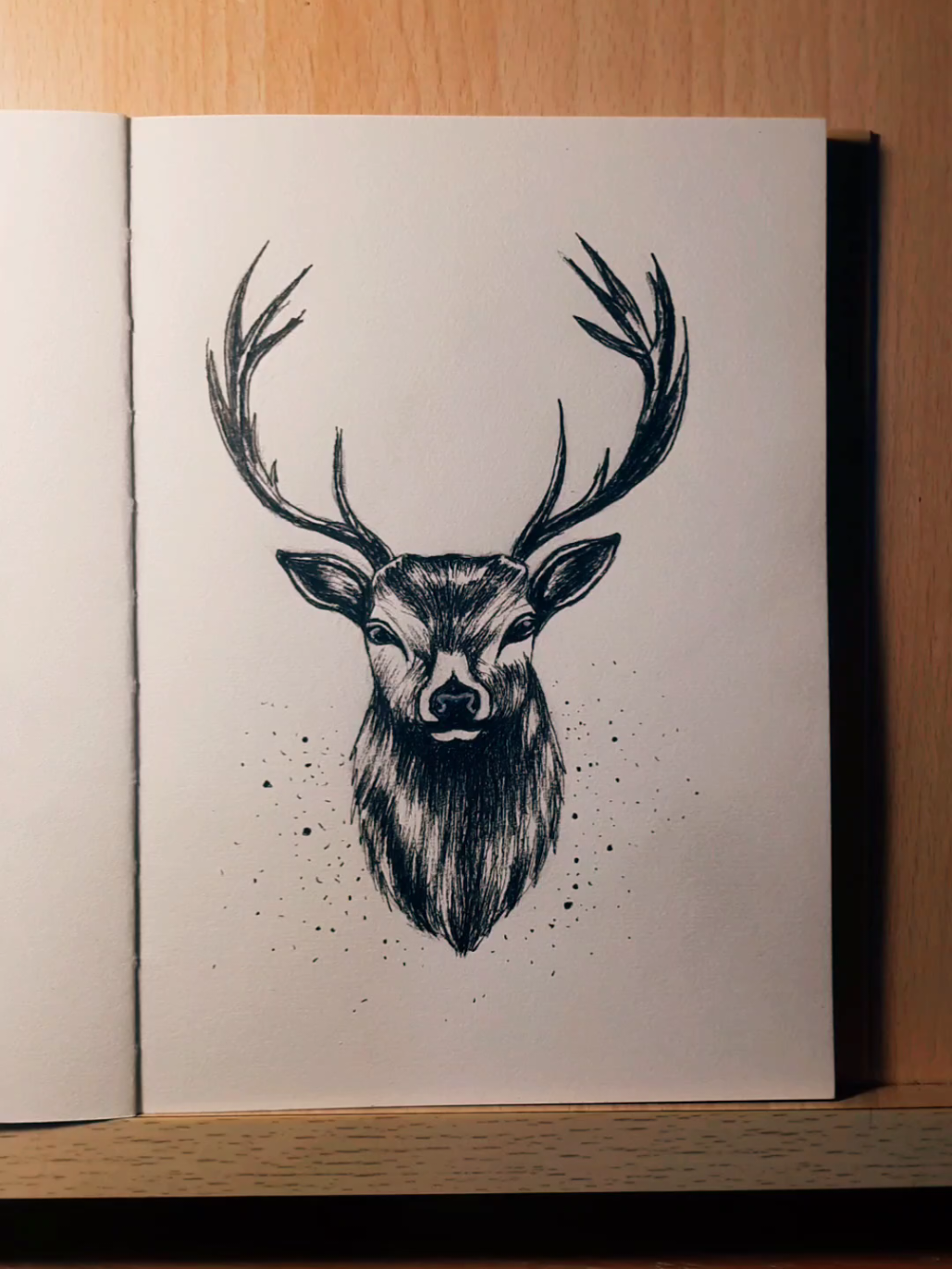 @mo moukdad
