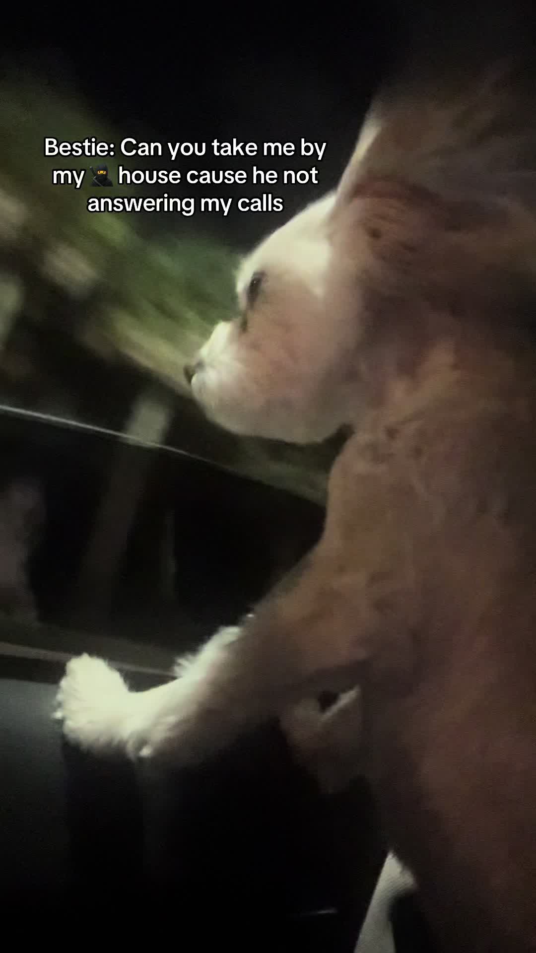 @treasegirl