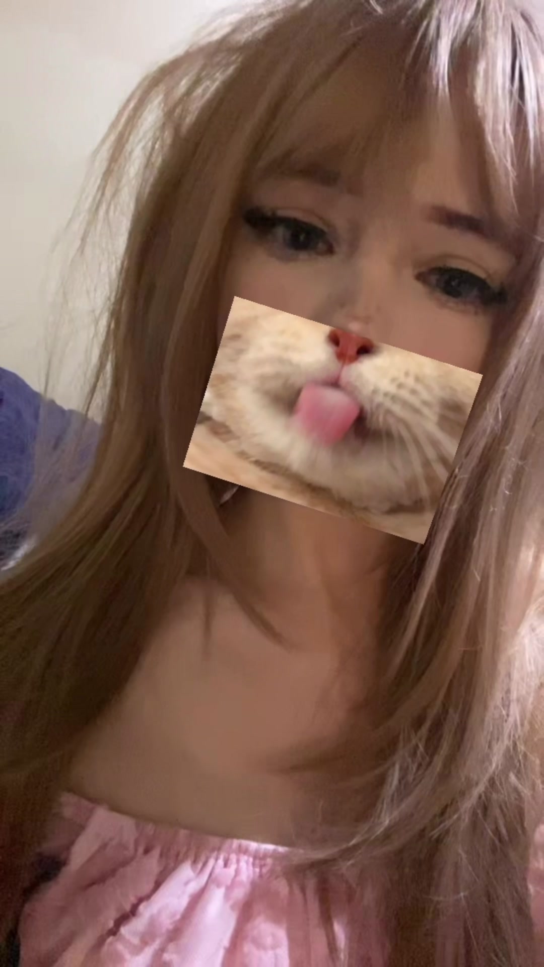 @🐾