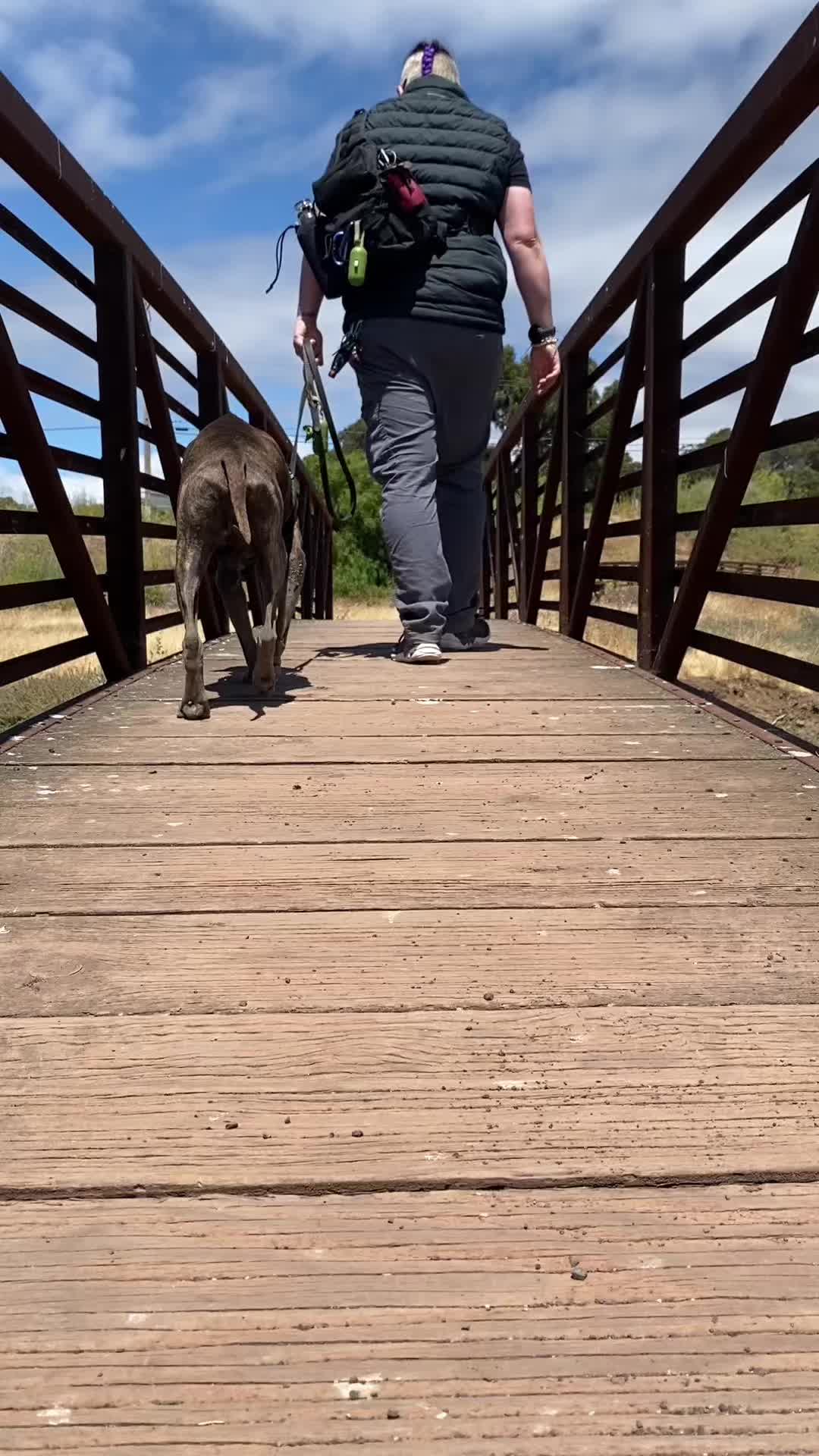 @AJ_n_roadie.rock.puppy