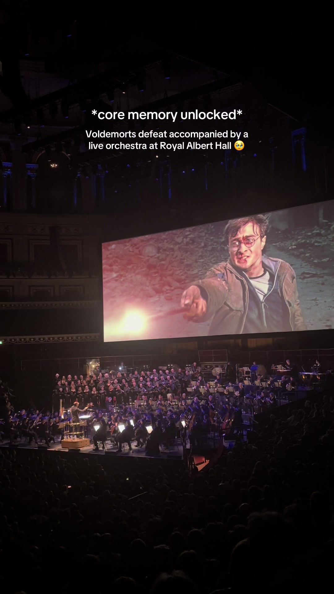 @Harry Potter Nerd