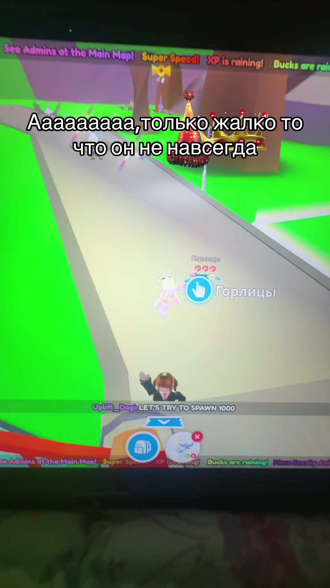 @°𐙚🍬𝒞𝒶𝓃𝒹𝓎 𝒶𝒹𝑜𝓅𝓉 ୨୧°