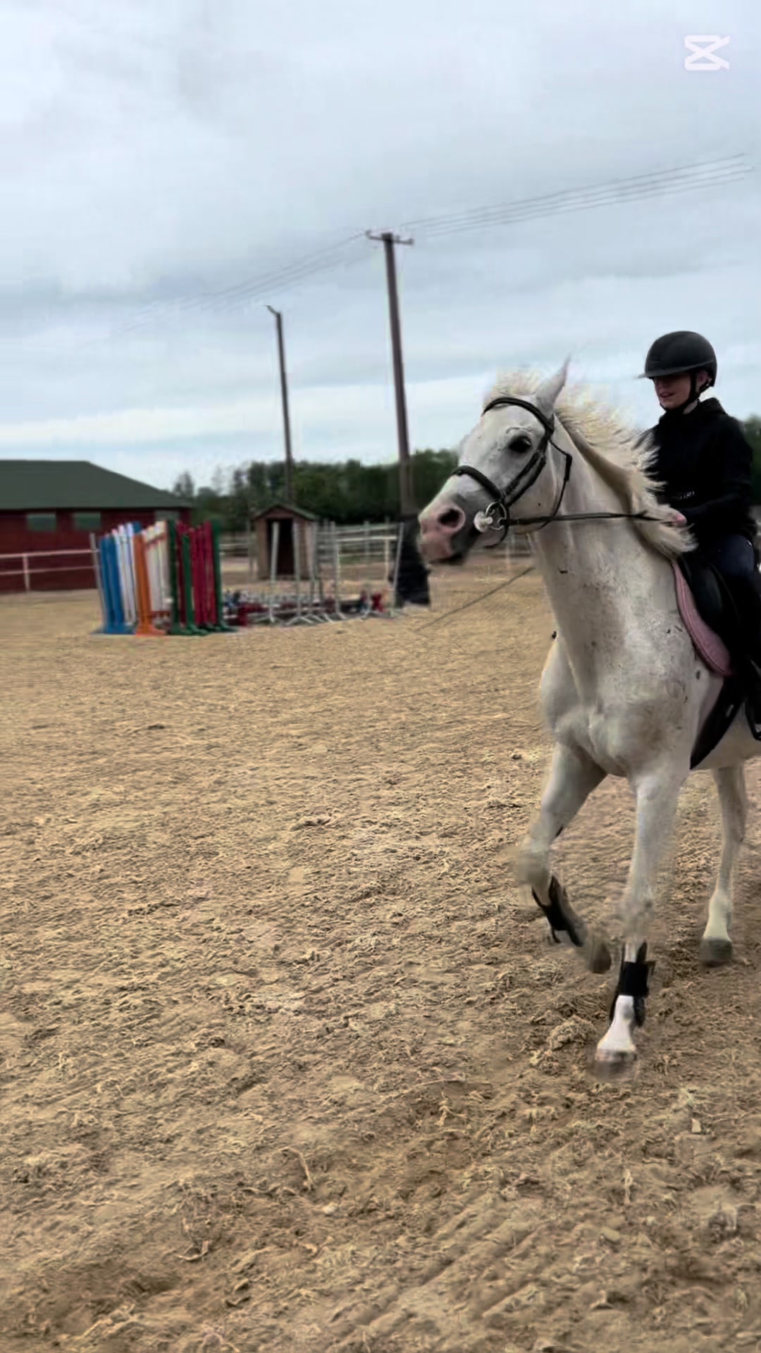 @😻🐴Eq._.N🐴😻
