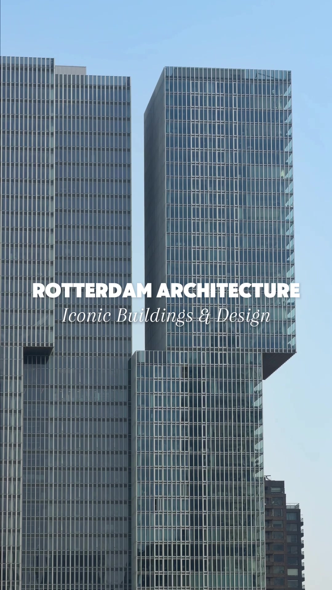 @Rotterdam Info 💚