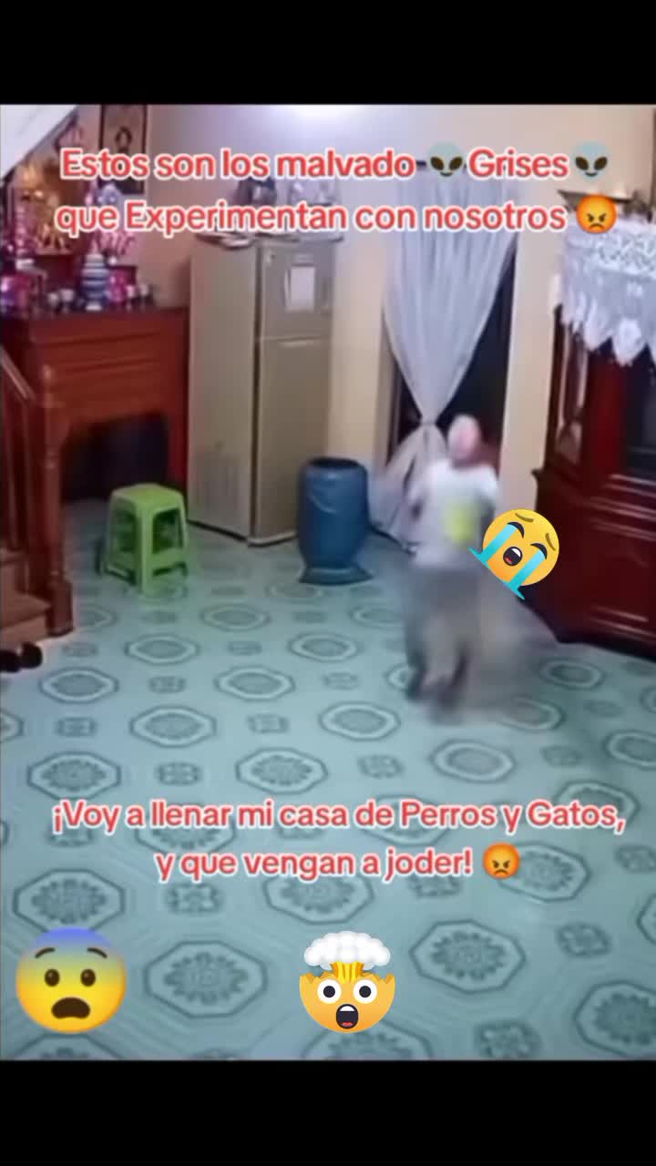 @๐น๐ฆุงูู
ุบุงู
ุฑ ูุงูุฑ ุงูุฌู๐ฆ๐น