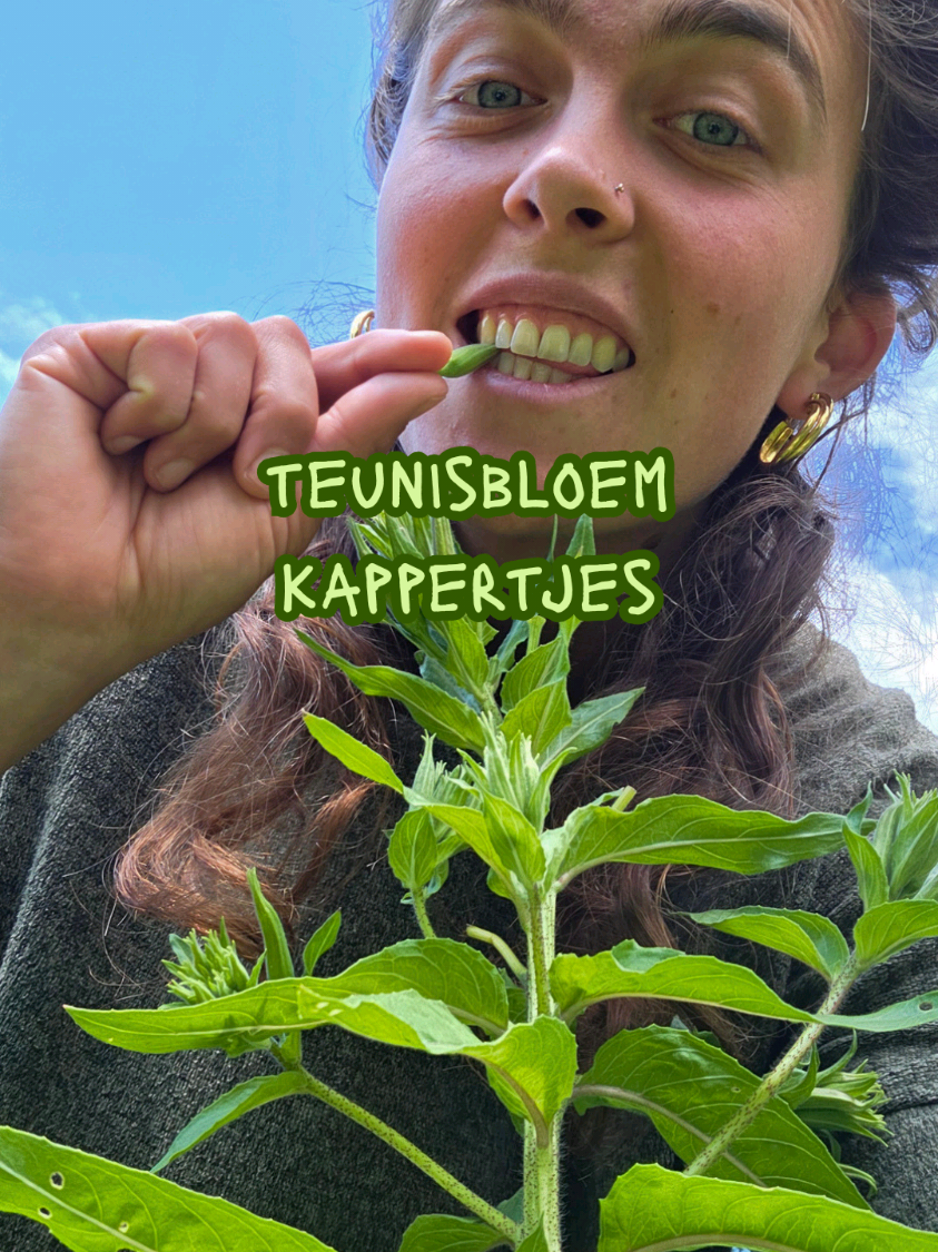 @Roos Konings