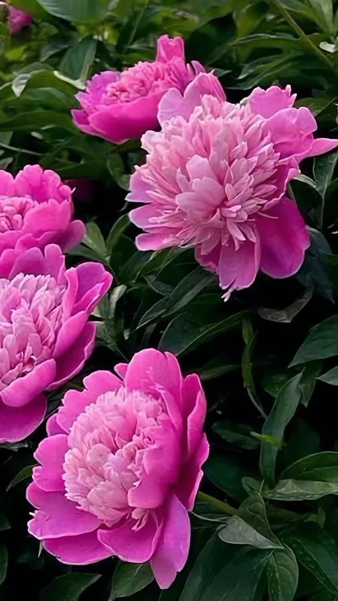 @user1675550211969