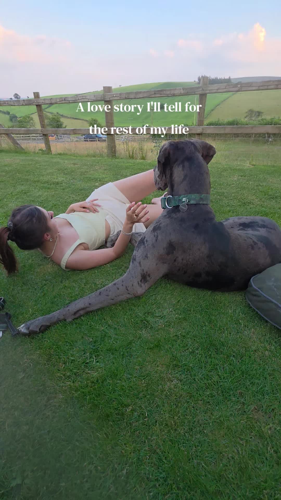 @Magnus the GREAT DANE
