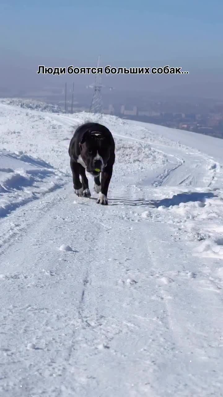 @Jsem v Česku🇨🇿