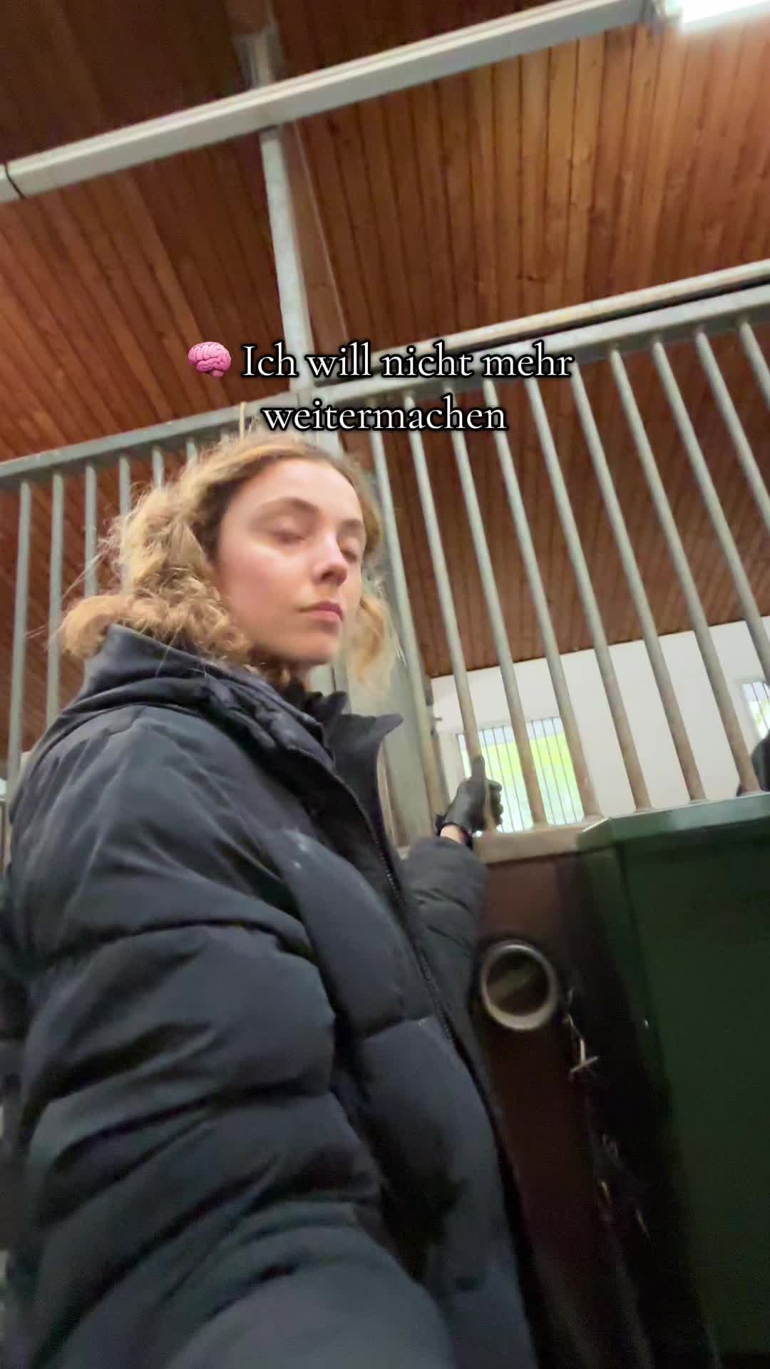 @evis.pferdechaos