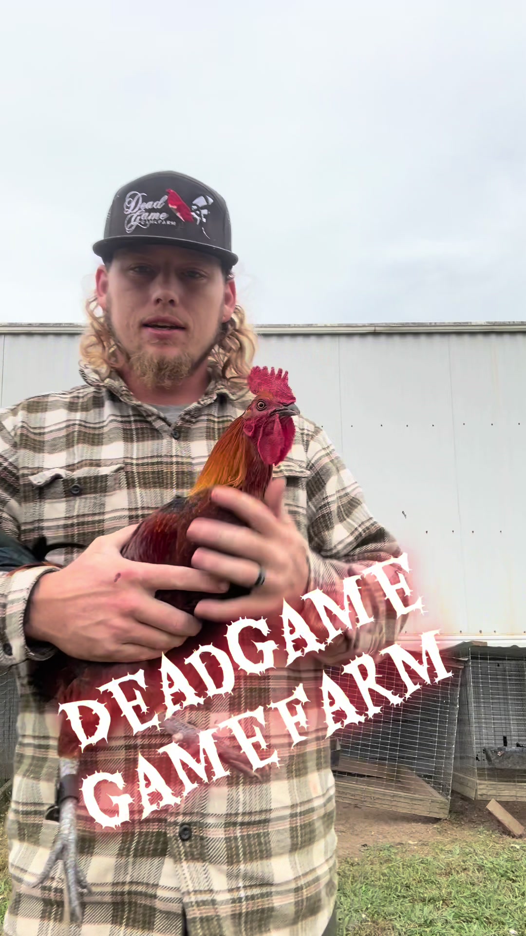 @DeadGame.Gamefarm