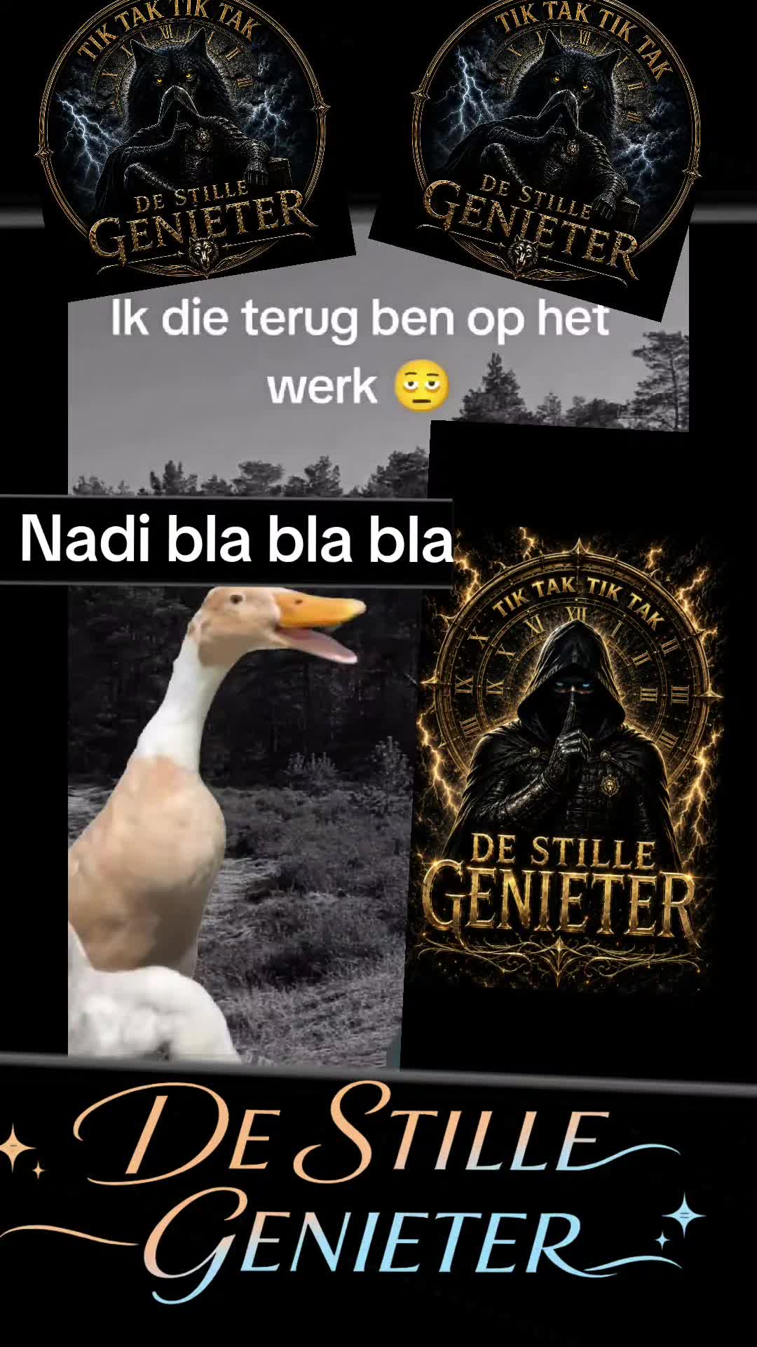 @DE STILLE GENIETER