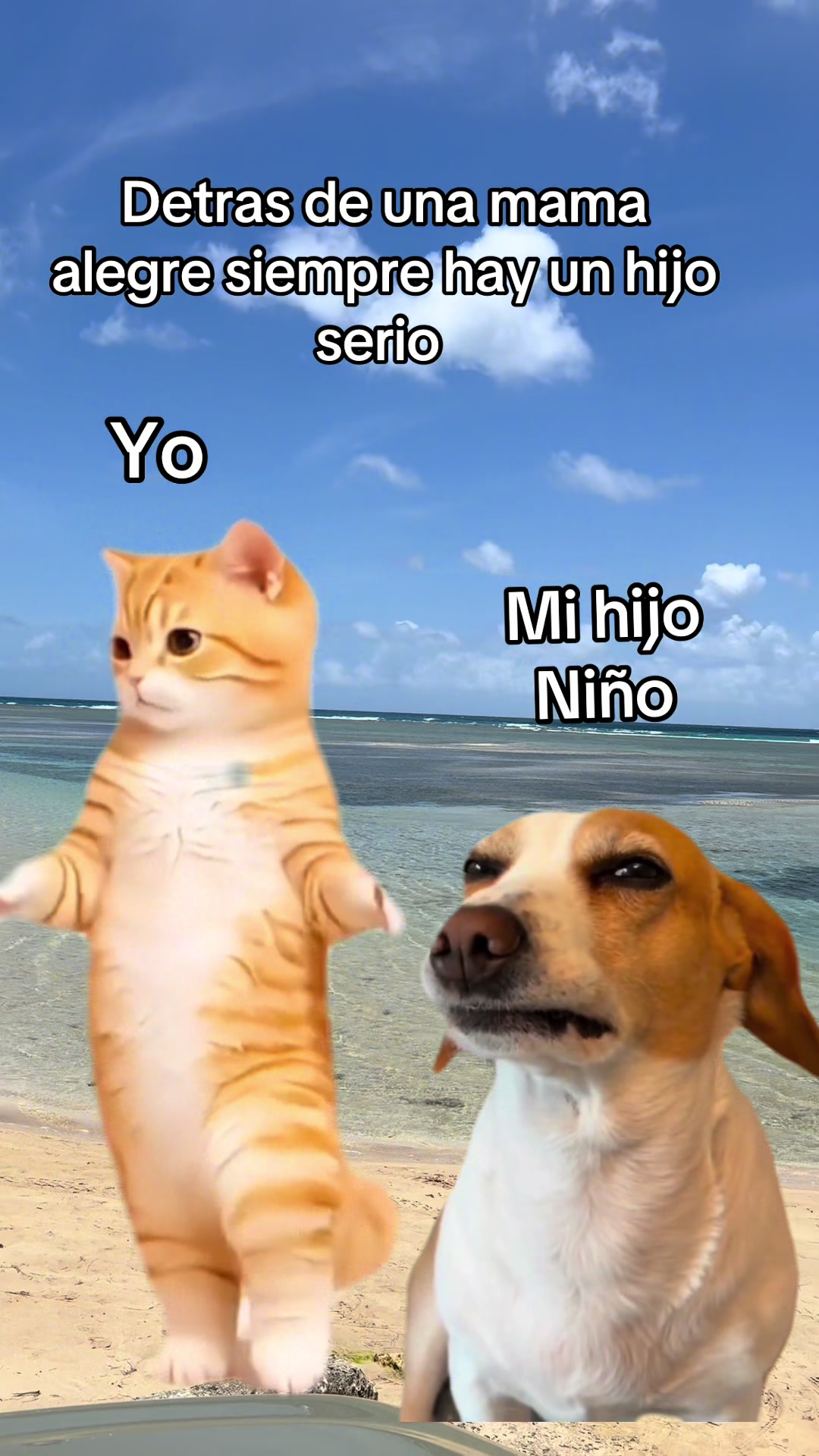 @Taína