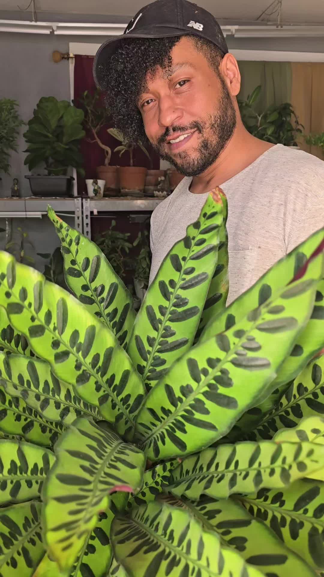 @JT - BigEGOPlants