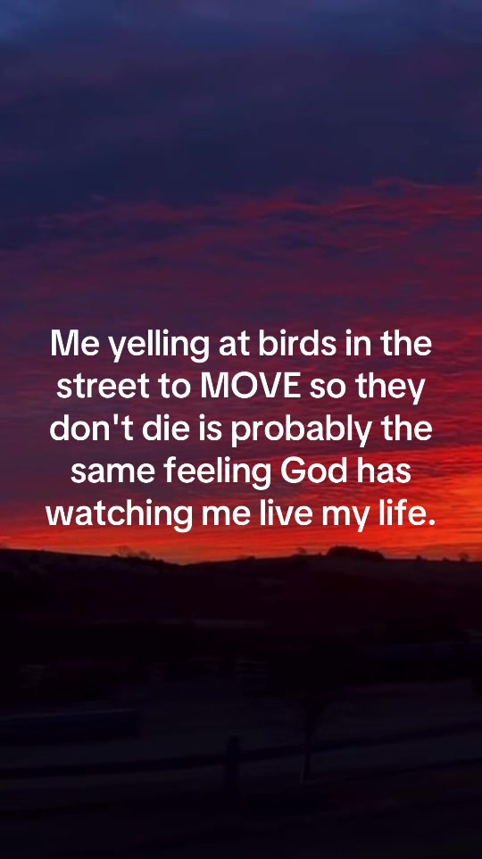 @Dirtlife
