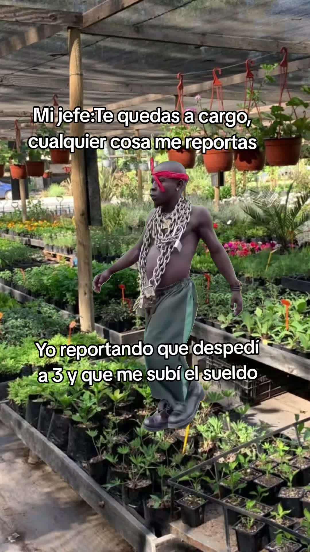 @Farid