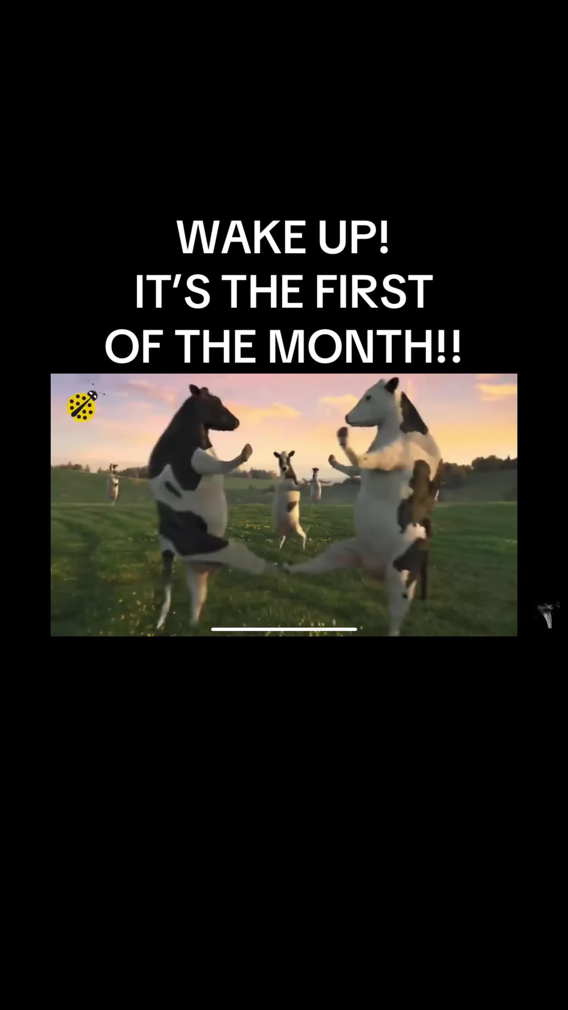 @Daily Memes