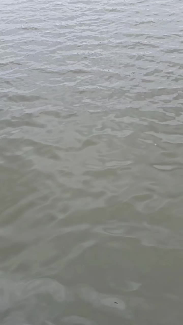 @دافىء المشاعر