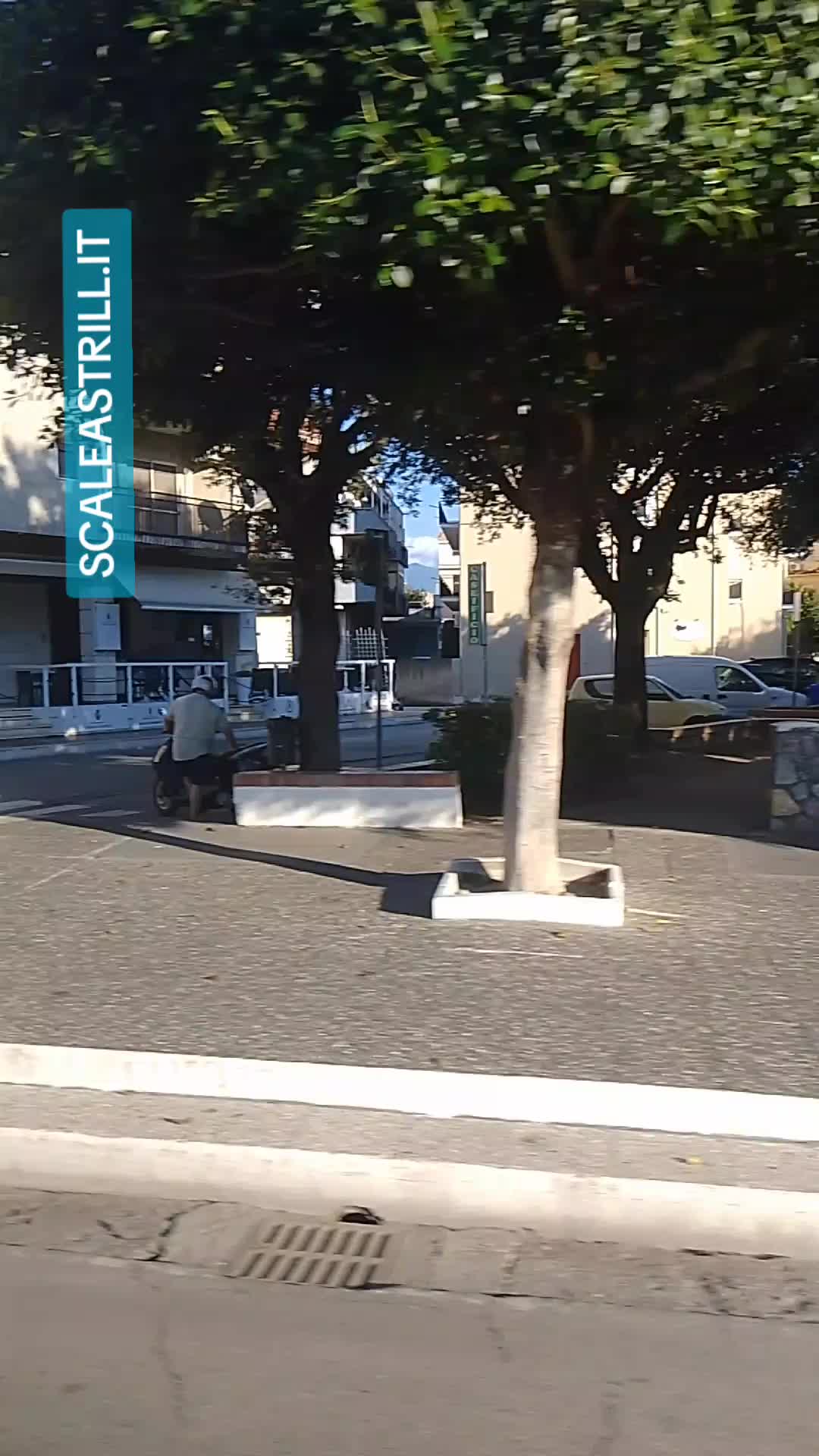 @SCALEA CALABRIA STRILL