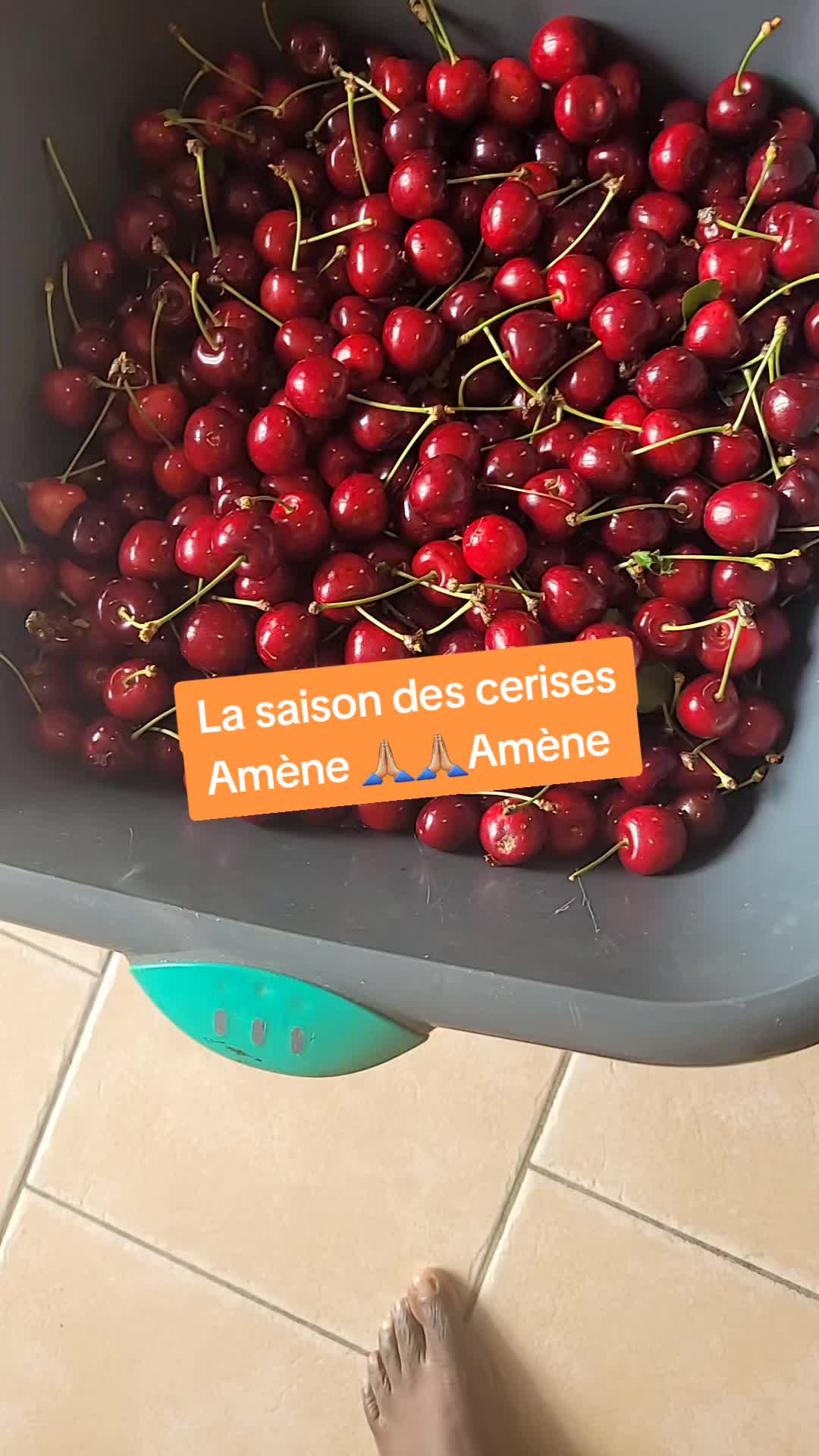 @Bertille la sage
