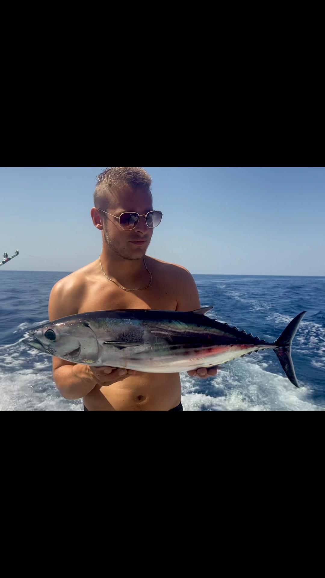 @Flipper II Madeira Fishing