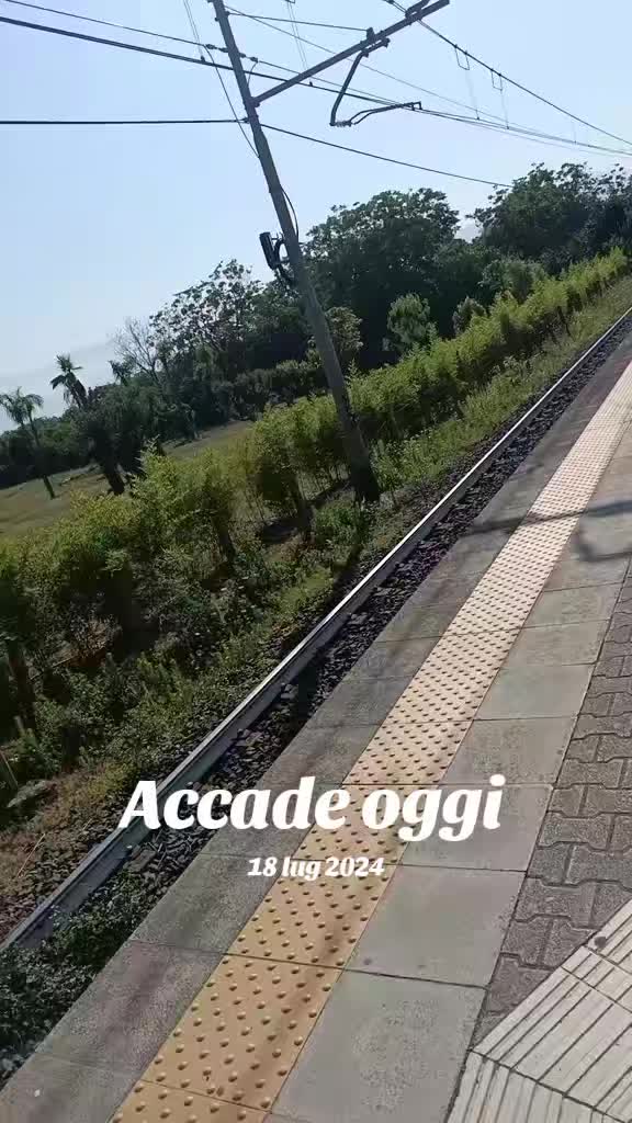 @Anna Maria Caliendo
