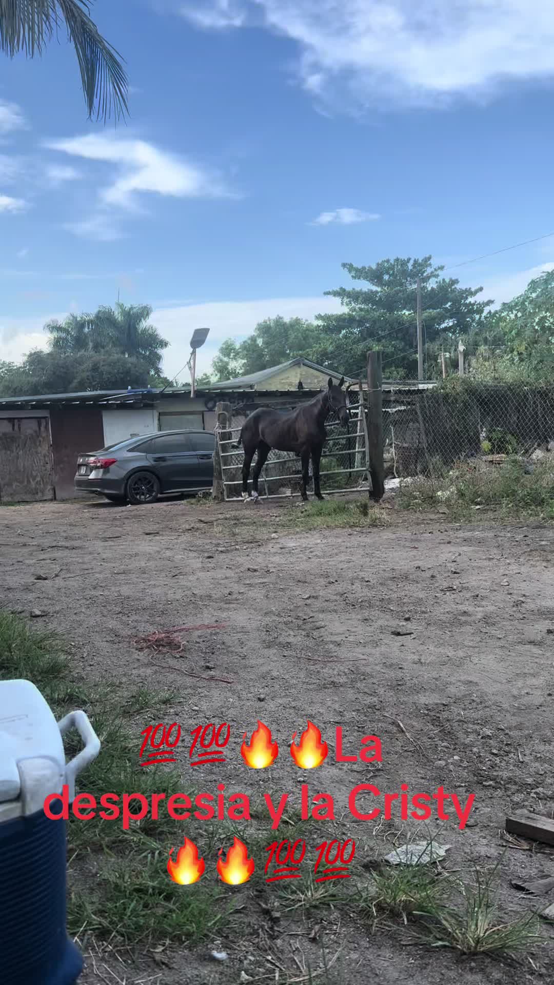 @🔥🔥❤️EL FEO ❤️🔥🔥
