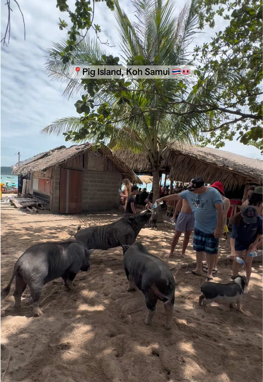 @Pas🗺️