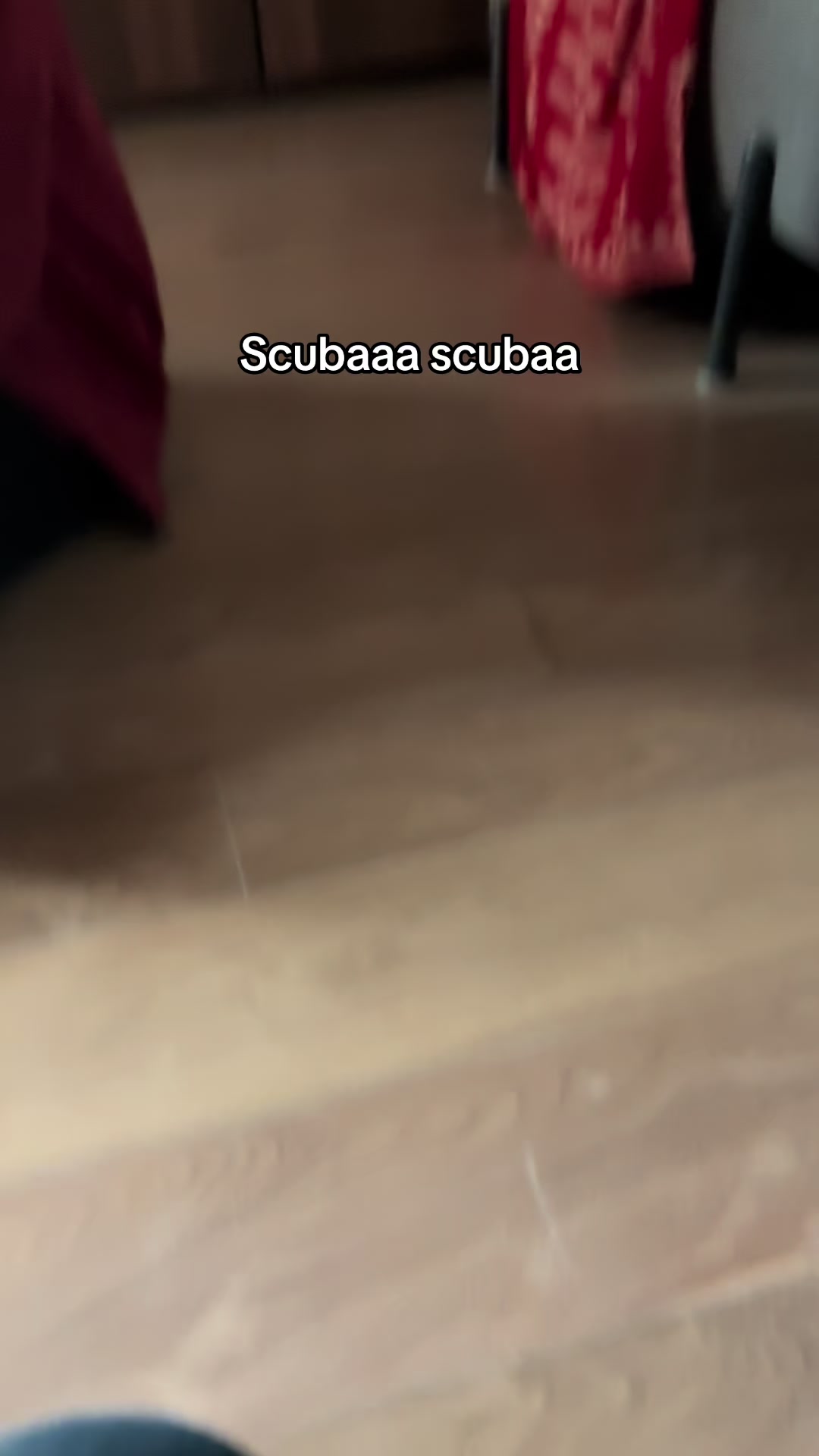 @𝓩𝓪𝓵𝓲𝓷𝓪