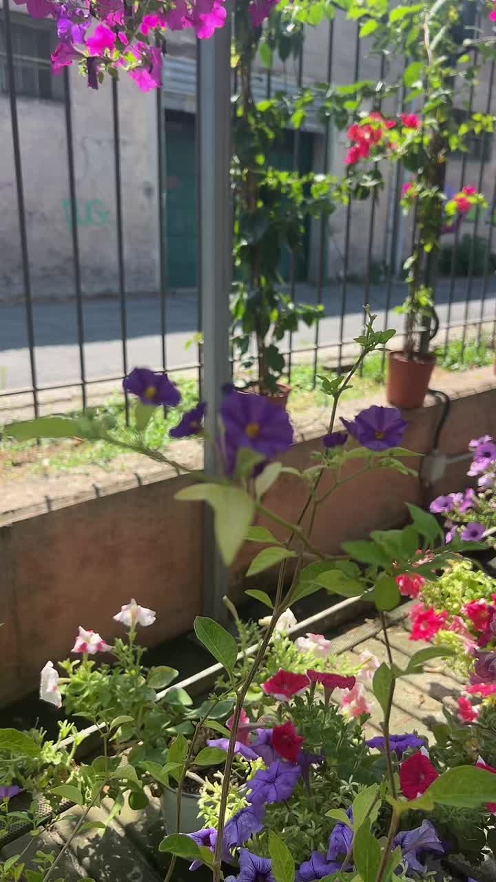 @vivaioanticogarden
