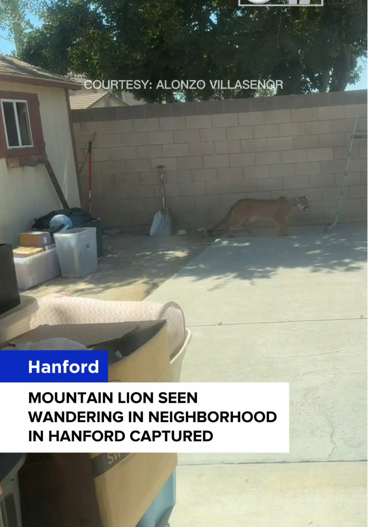 @yourcentralvalley