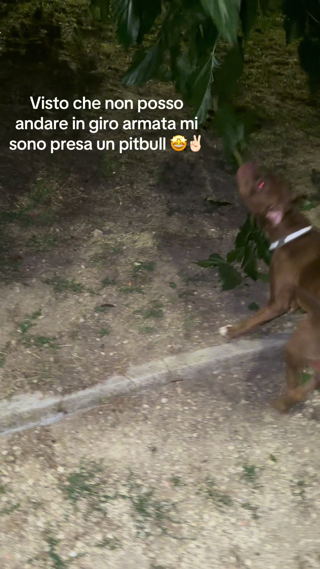 @miriammazziotti🌶️