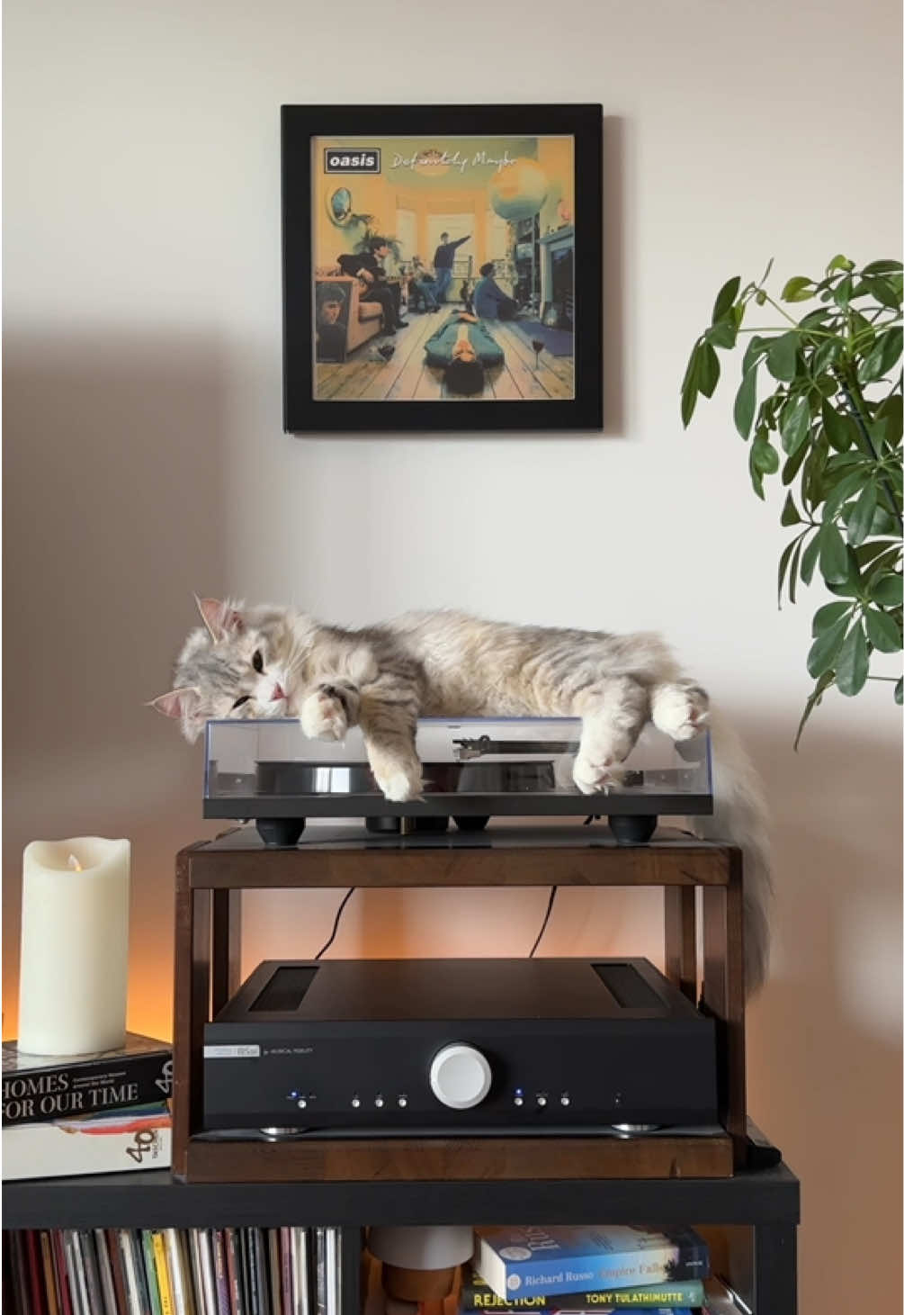 @Leon The Vinyl Cat