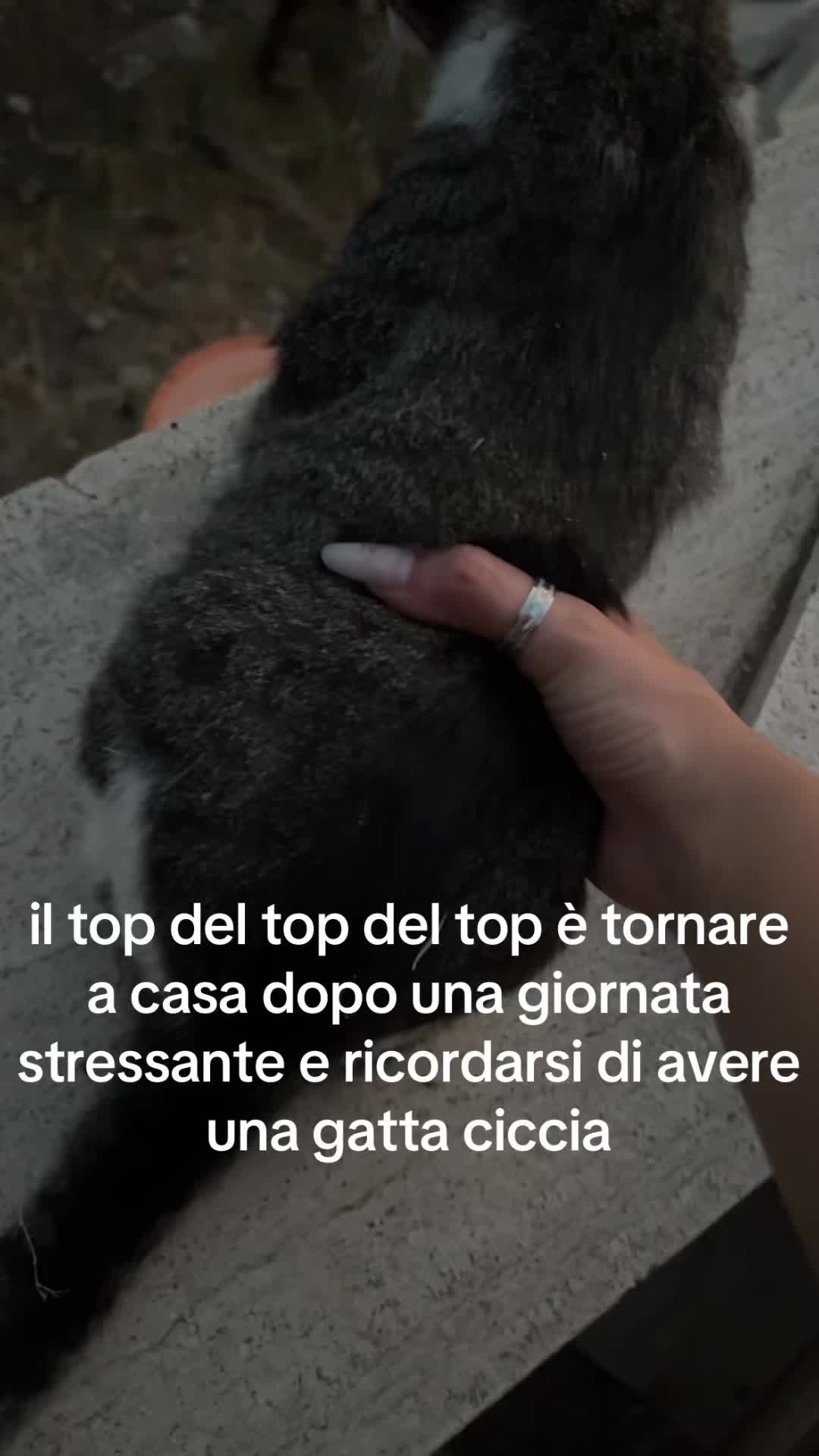 @carol4theplot