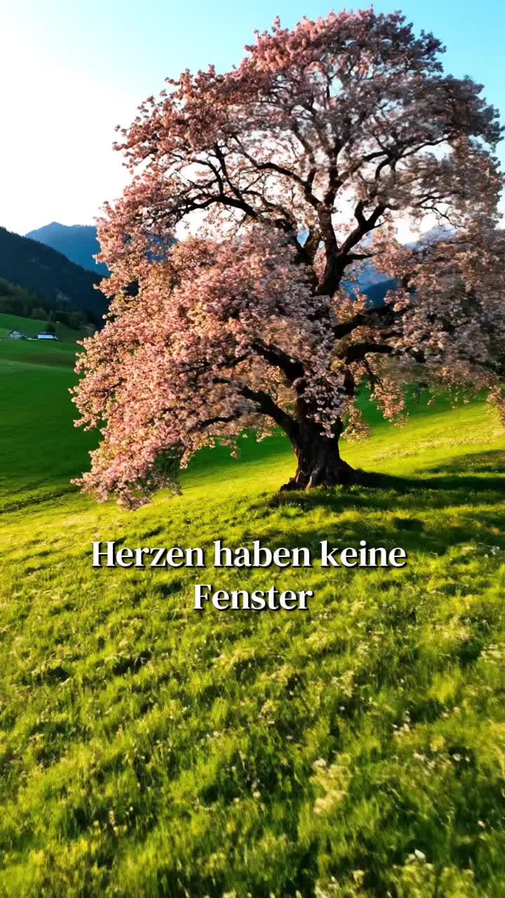 @DEUTSCHE HITS