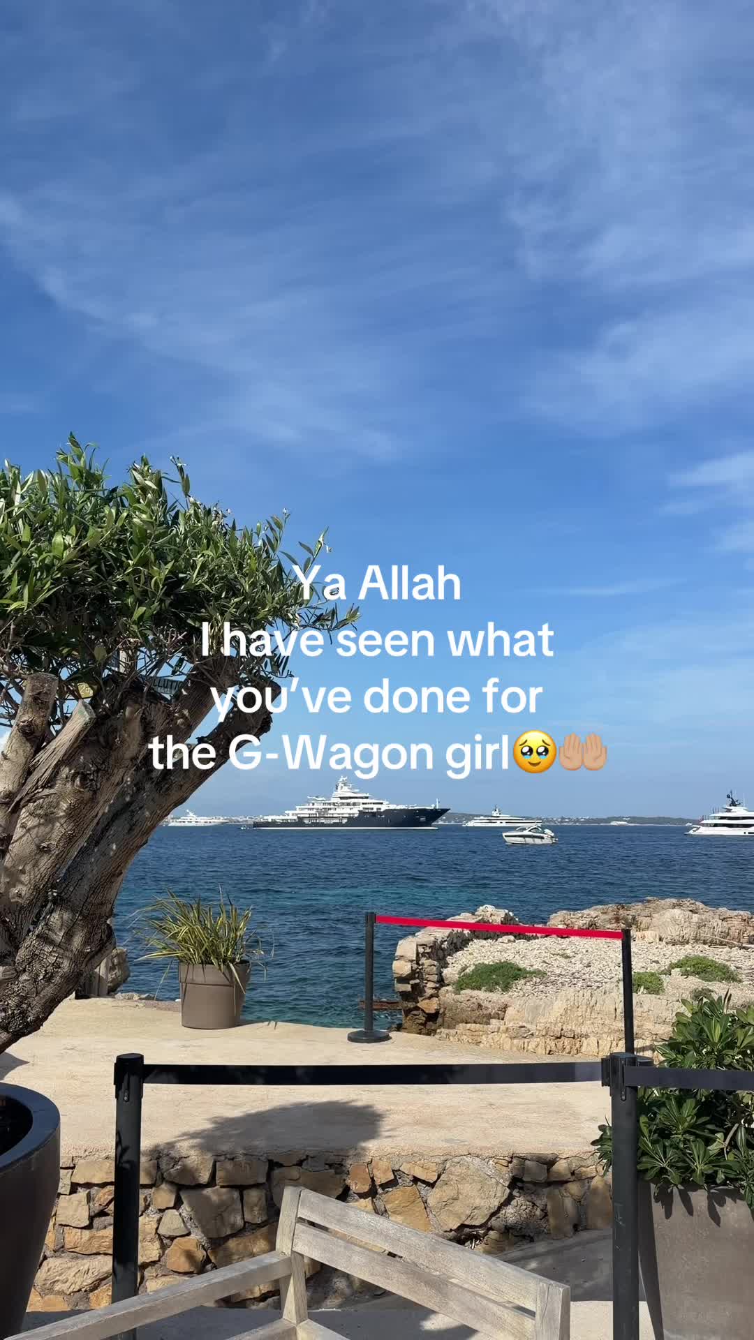 @Ruba Zai