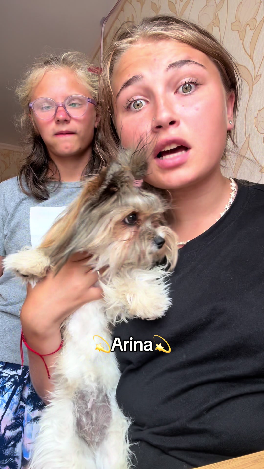 @arina