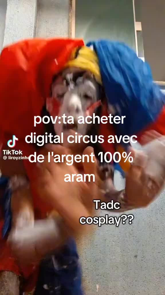 @koty.en.vr