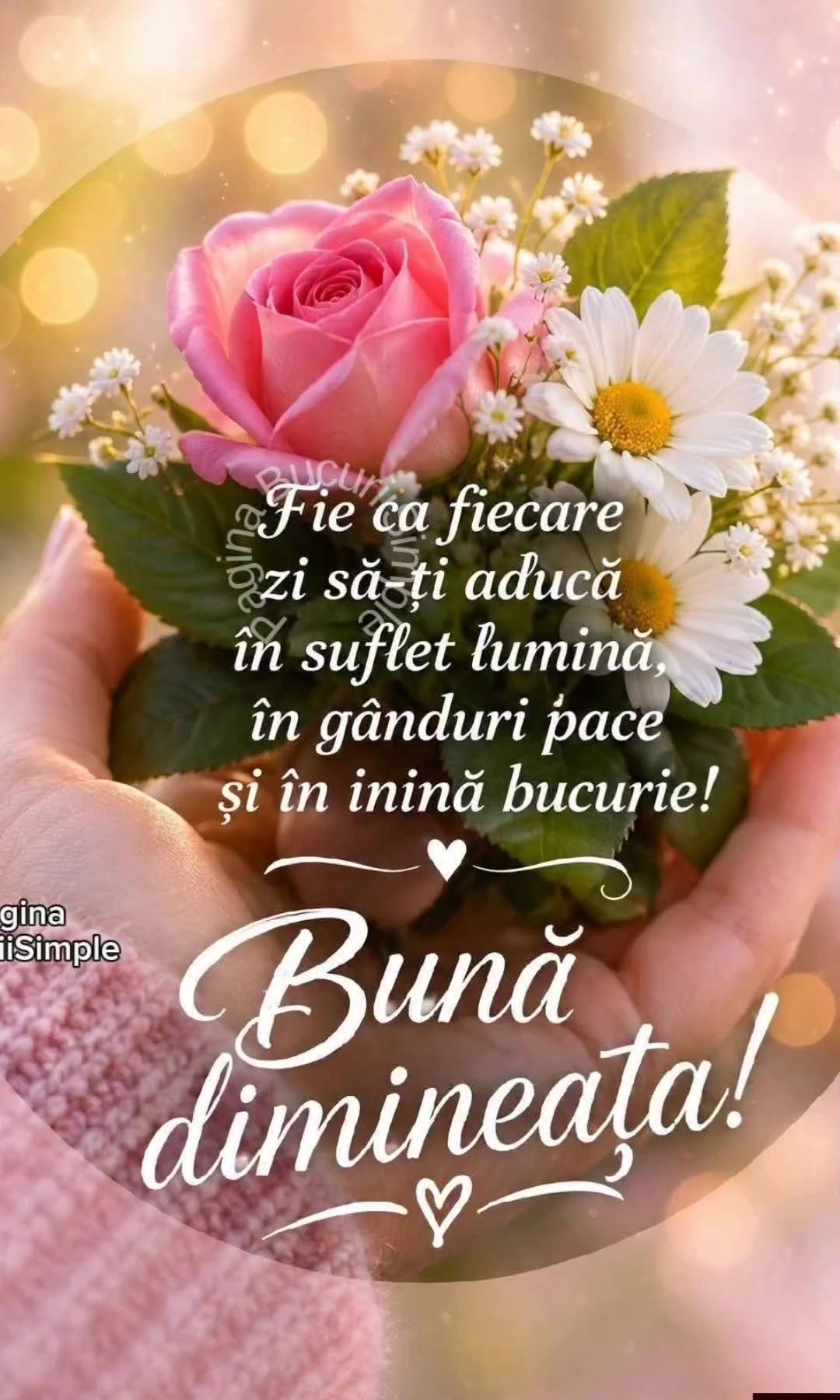 @Ruxandra Borcea