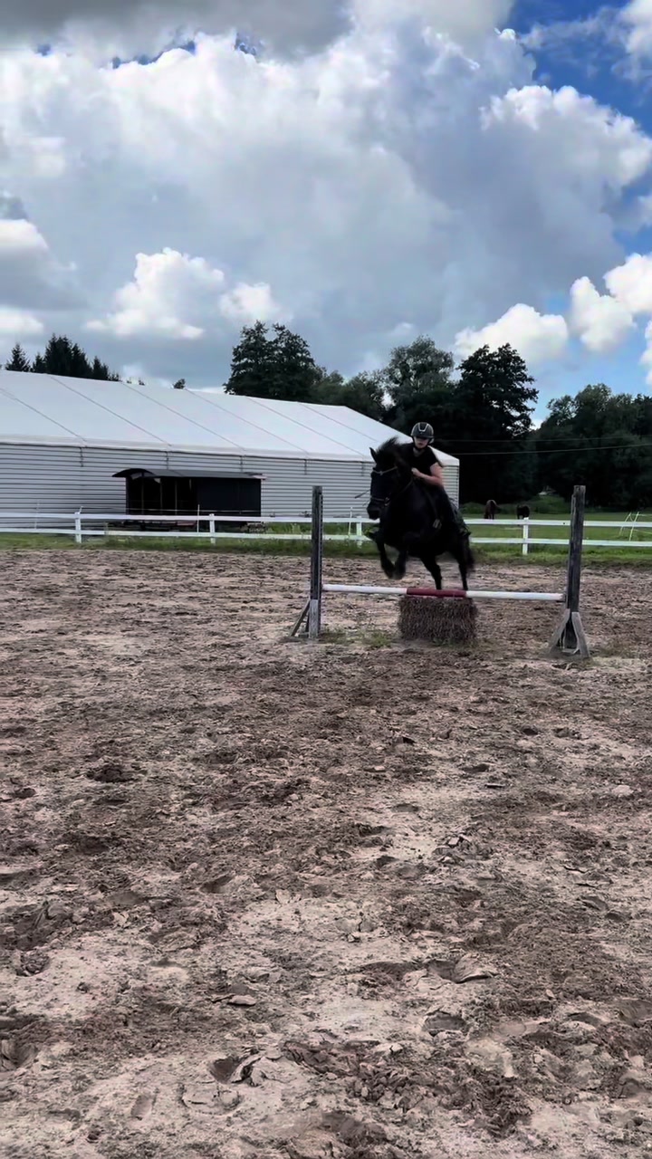 @💋🐴
