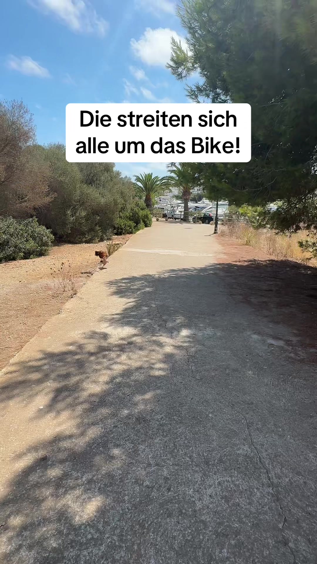 @houseofriera