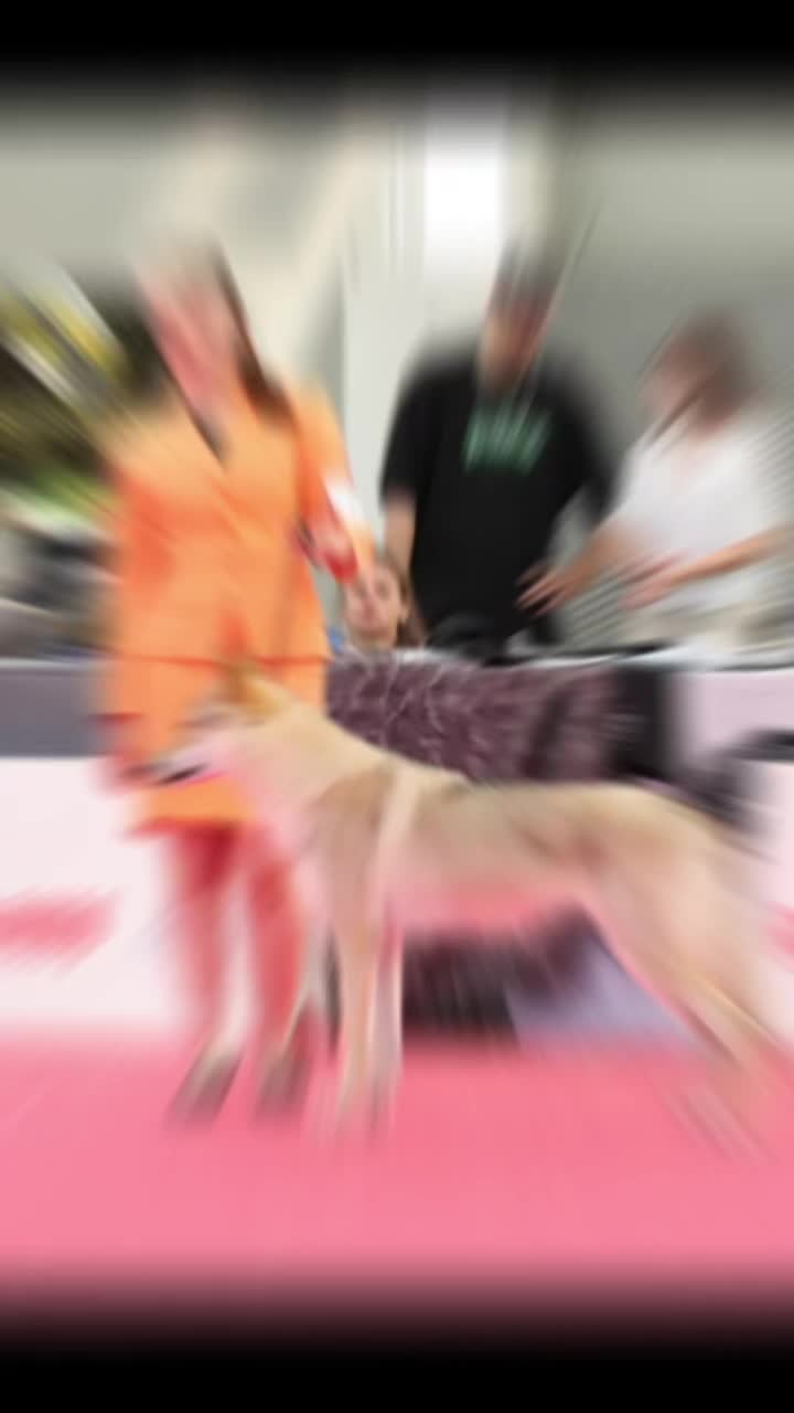 @Lupi del basileus