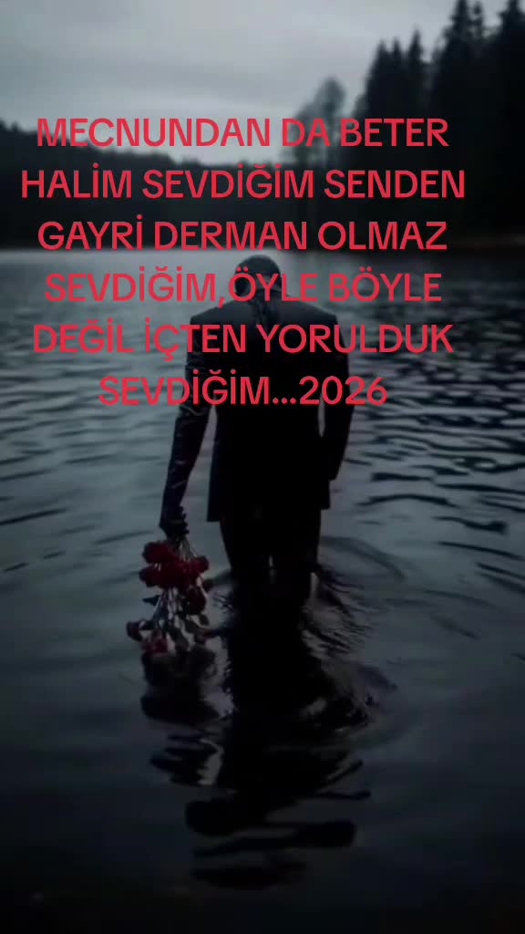 @BORDO BERELI ASLAN KRAL1
