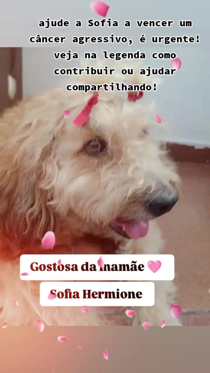 @Sofia Hermione