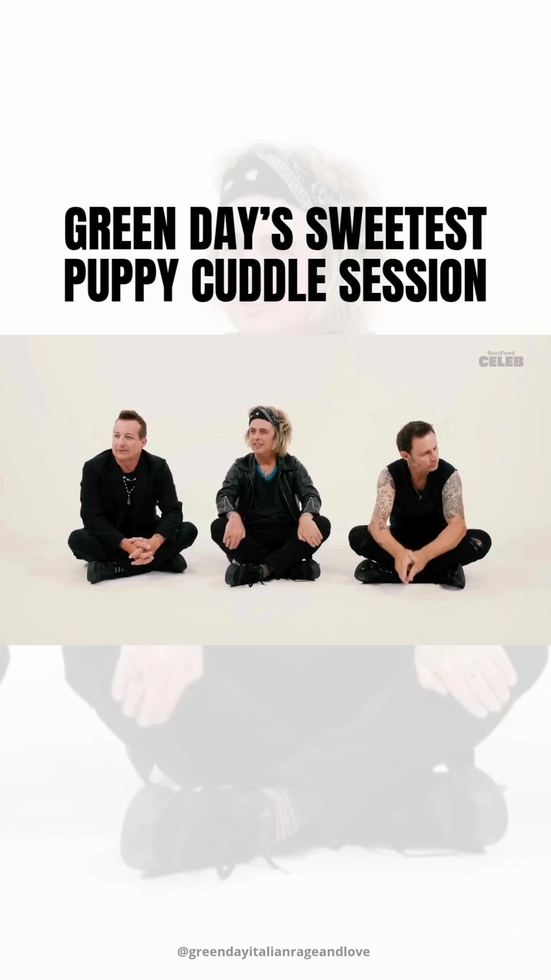 @Green Day Italy