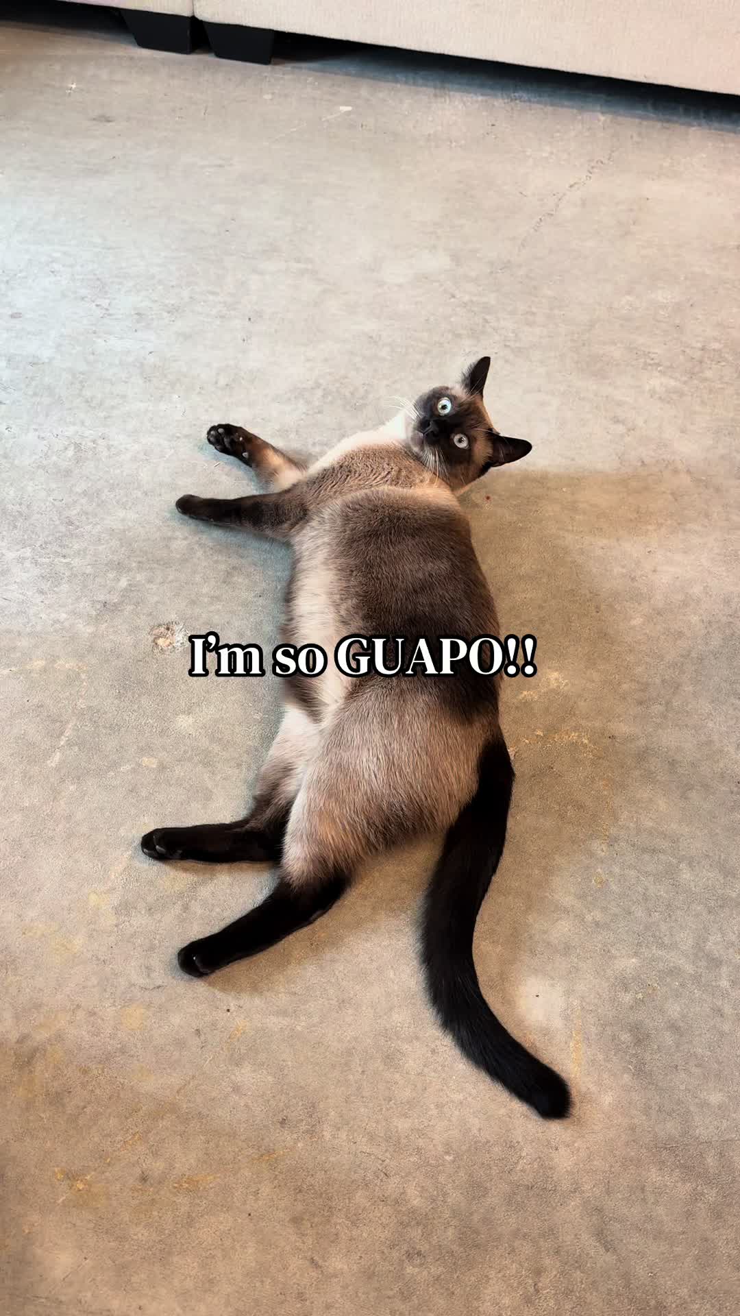 @SaraAdri